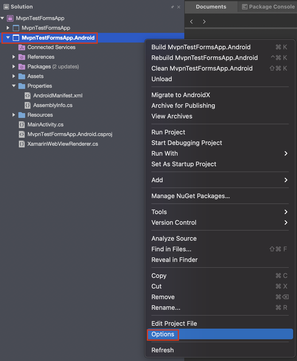 Goto Project Options