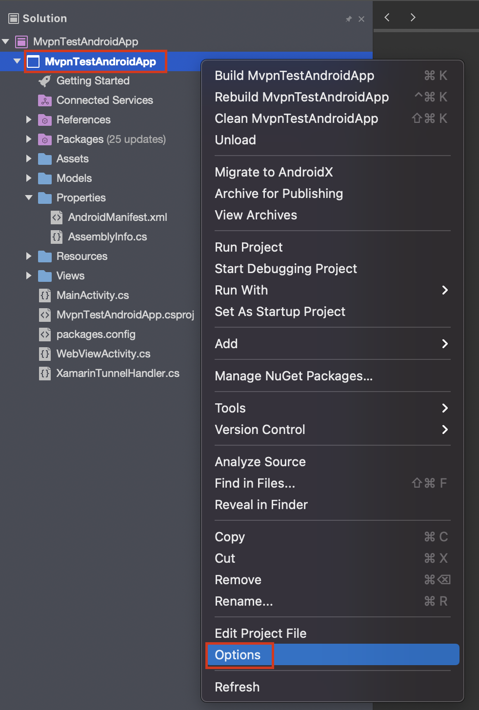 Goto Project Options