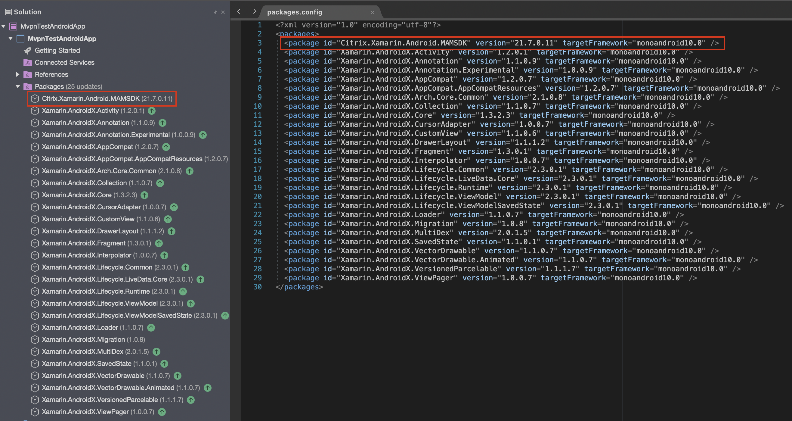 Verify NuGet version