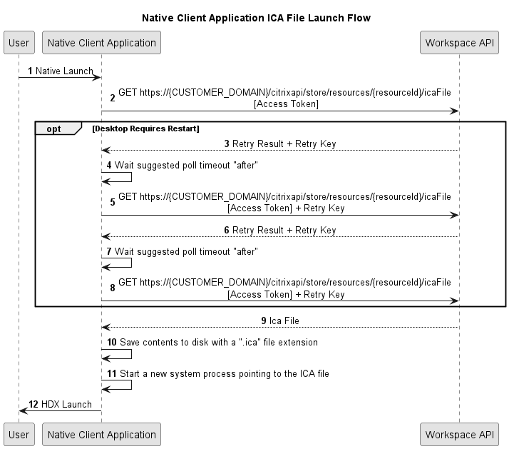 ICA File Download Launch